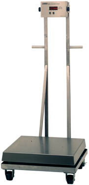 Doran Floor Scale