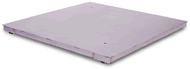 Washdown Floor Scale