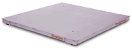 Heavy Duty Platform Scale